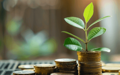 What Is The Meaning Of Locally Invested?