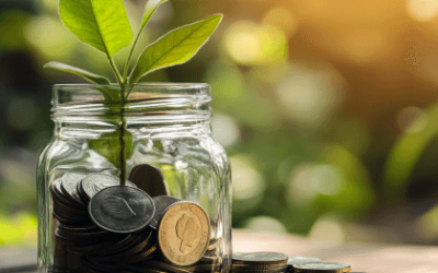 What Is A Provident Fund And How Does It Work?