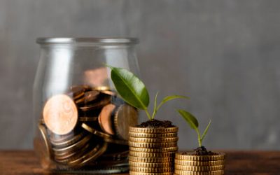 Can I Claim My Provident Fund While Still Working?