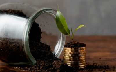 Do I get A Provident Fund If I Resign?
