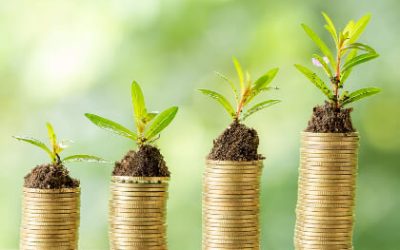 How To Create A Balanced Investment Portfolio?